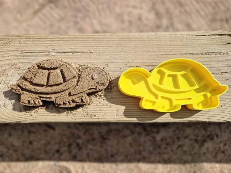 Turtle Sand Mold