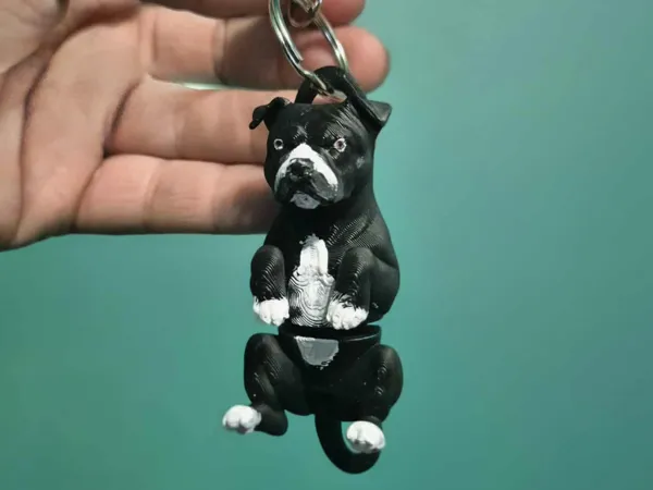 https://makerworld.bblmw.com/makerworld/model/US4830175b67970/design/2025-09-26_84a53297a959.jpg