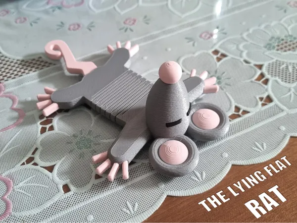 https://makerworld.bblmw.com/makerworld/model/US4830d533c67d87/design/0c2601bac311db2f.png