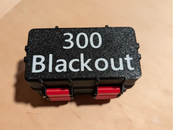 https://makerworld.bblmw.com/makerworld/model/US483285fafbc6e2/design/2025-11-26_3db4a506f05a48.jpg