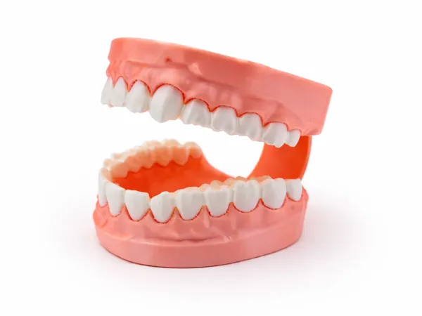 https://makerworld.bblmw.com/makerworld/model/US483320623f833f/design/fc53b05232dce27d.png