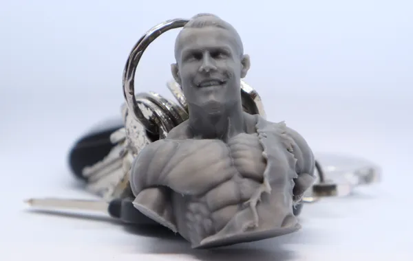 https://makerworld.bblmw.com/makerworld/model/US4839dd81f98087/design/2024-05-09_5b62cfa9989d7.jpg