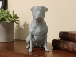 pitbull sentado