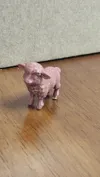 0.2mm layer, 3 walls, 5% infill
