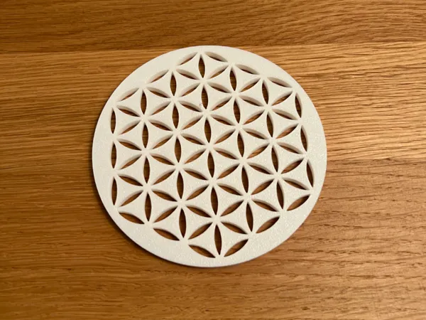 https://makerworld.bblmw.com/makerworld/model/US483bd7664dea59/design/2024-12-11_80815b014c974.jpg