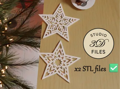 Christmas star x2 models