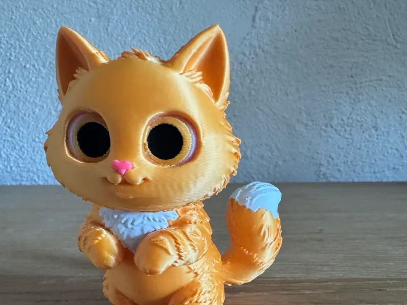 Mimi die kleine neugierige Katze