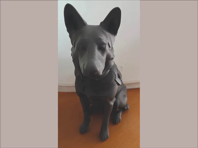Hund sitzend