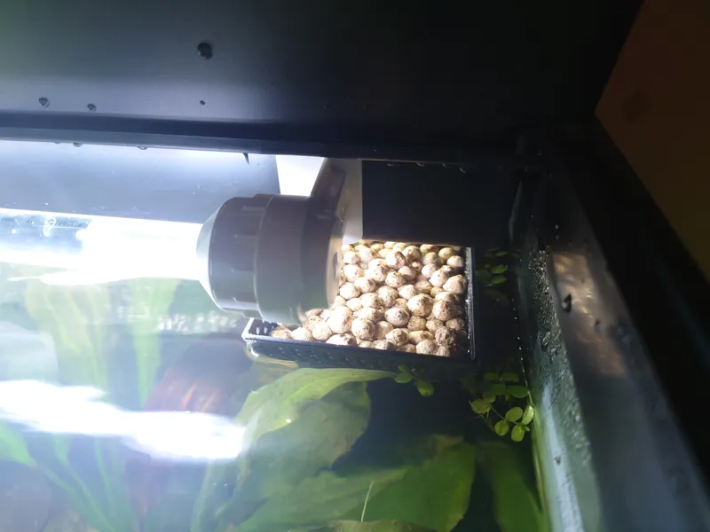 Juwel Bioflow M Intake Media Basket