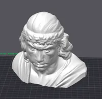 0.08mm layer, 2 walls, 15% infill