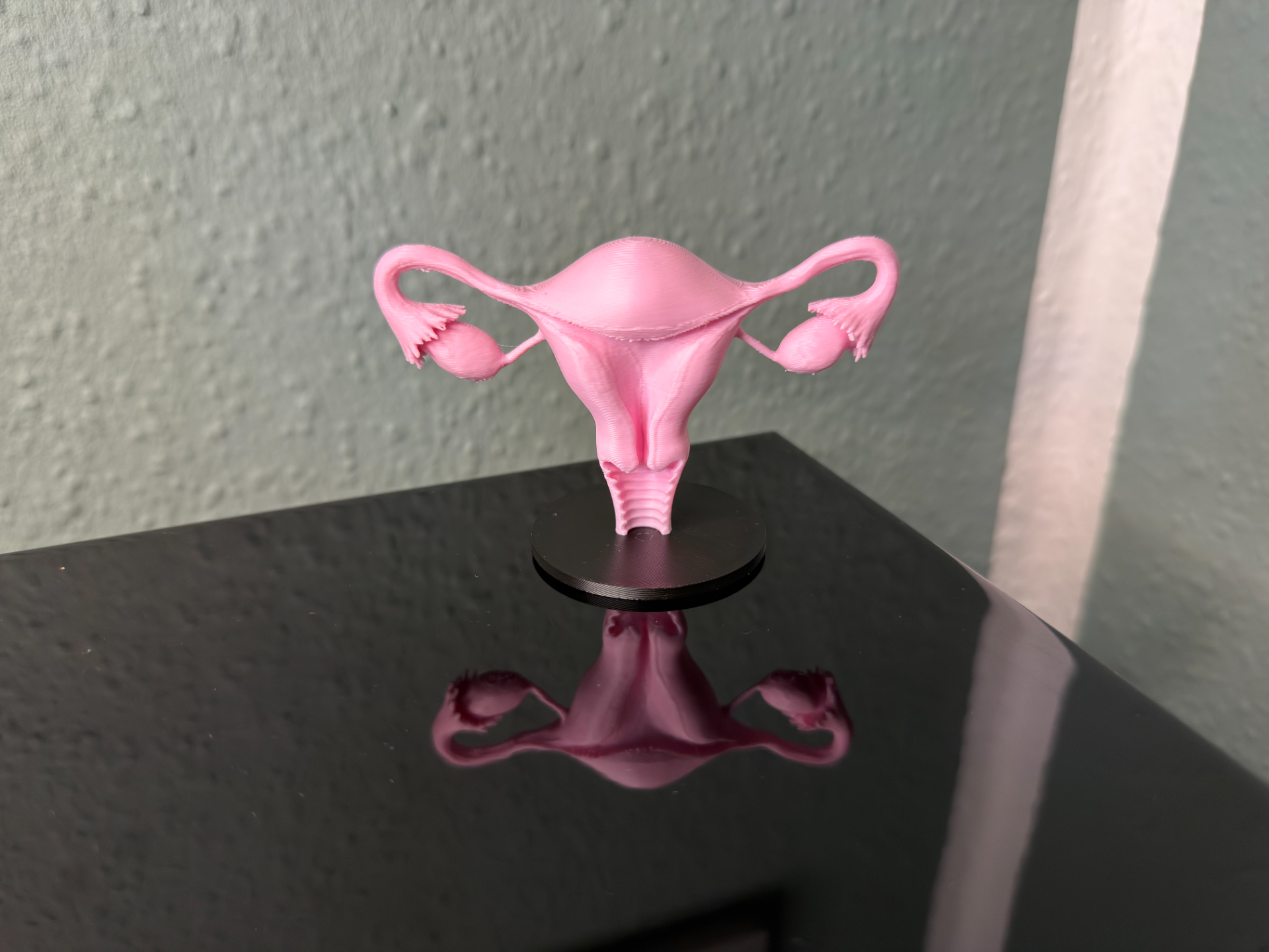 Uterus