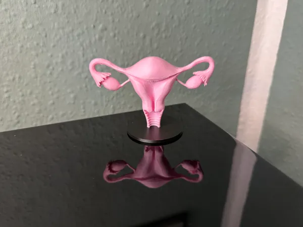 https://makerworld.bblmw.com/makerworld/model/US484c38f11fa2dc/design/03988d1a3a933a1b.jpeg