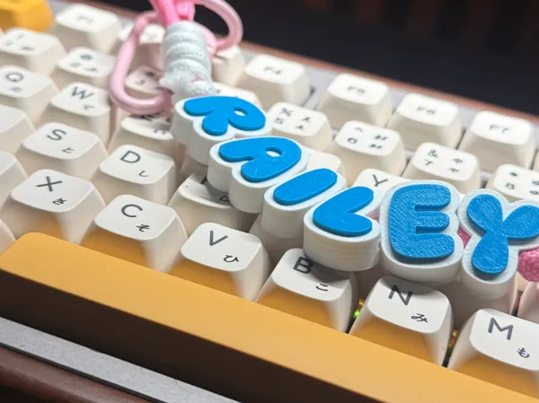 https://makerworld.bblmw.com/makerworld/model/US484d24e01f6642/design/59cced3327d2bef9.jpeg