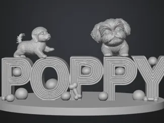 Poppy Shih Tzu