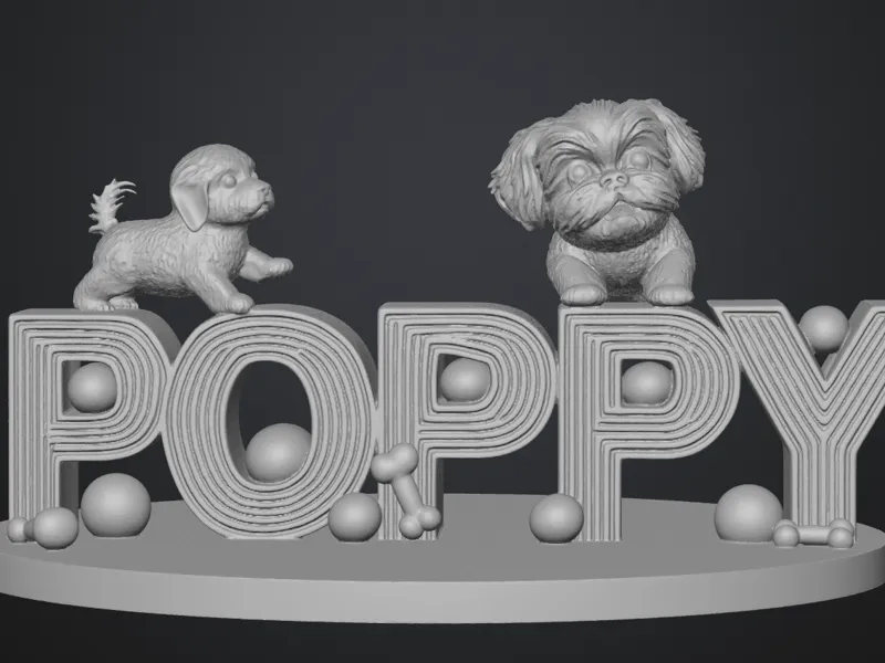 Poppy Shih Tzu