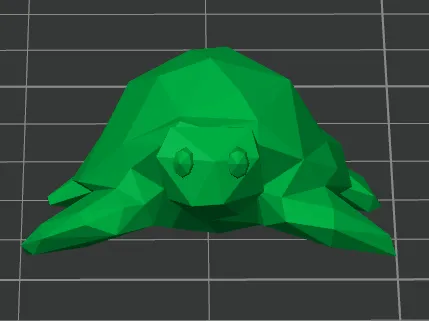 Turtle whit eyes