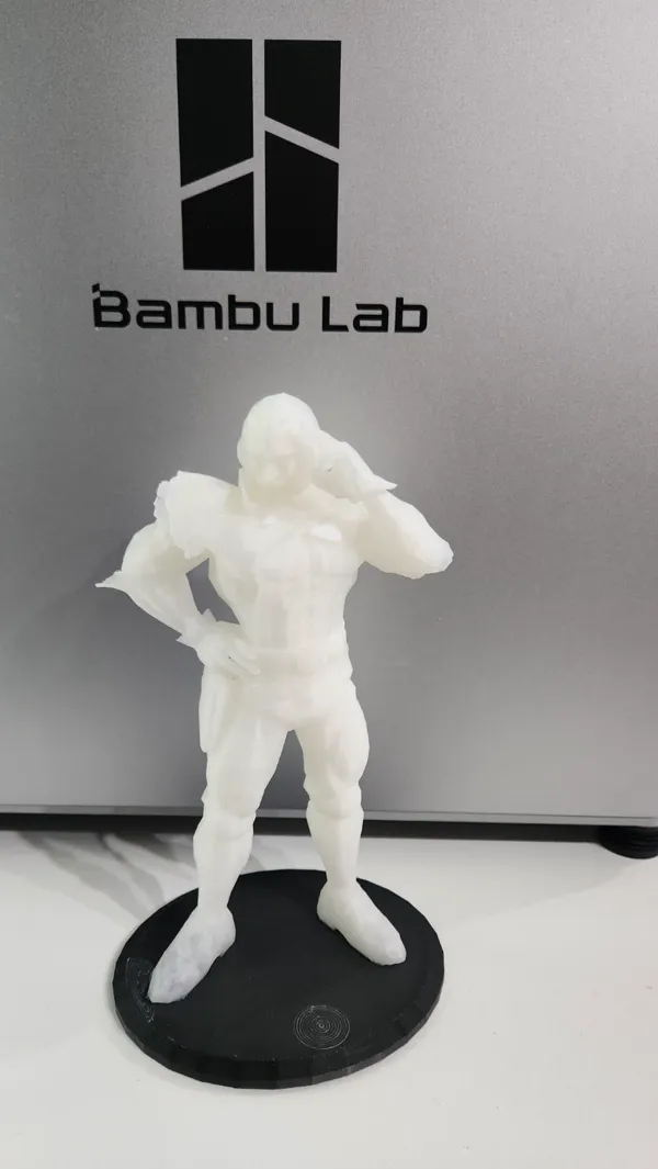 https://makerworld.bblmw.com/makerworld/model/US48574ad48b1534/design/2023-12-23_da5b4c39bbf51.jpg