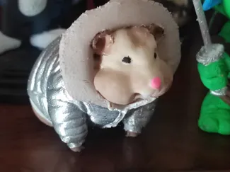 Hamster with a windbreaker