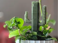 0.2mm layer, 2 walls, 6% infill