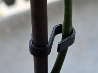 Orchid clip V3