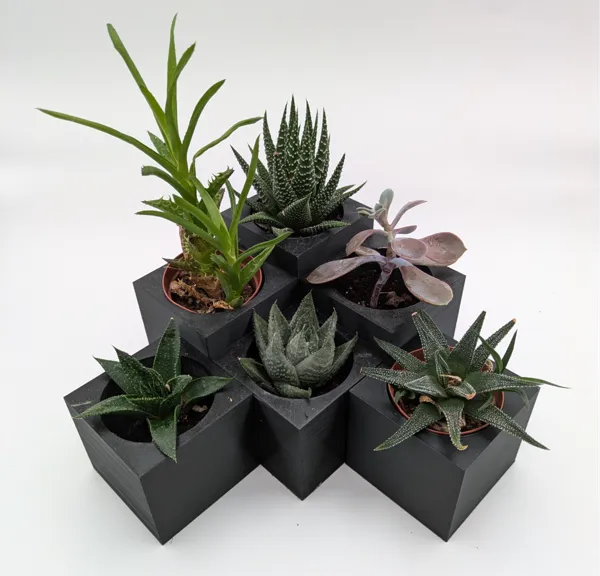 https://makerworld.bblmw.com/makerworld/model/US4863f8dbec8462/design/2024-10-24_b4b7298978a73.jpg
