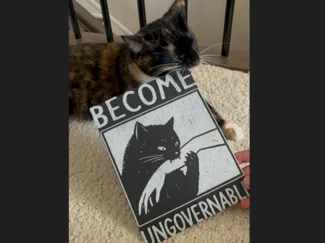 Cat Hueforge - Become Ungovernable - NO AMS