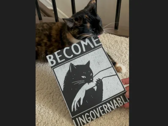 Cat Hueforge - Become Ungovernable - NO AMS