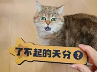 0.08mm 层高, 2 层墙, 100% 填充