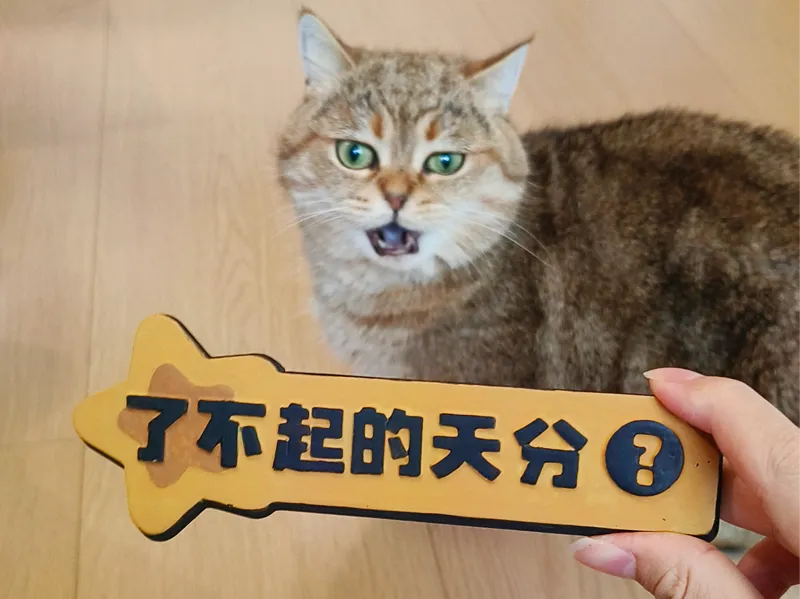 洛克王国：世界  “了不起的天分”  