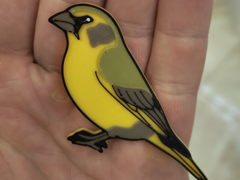 PAJARO VERDERON, SIN AMS COLOR POR CAPAS