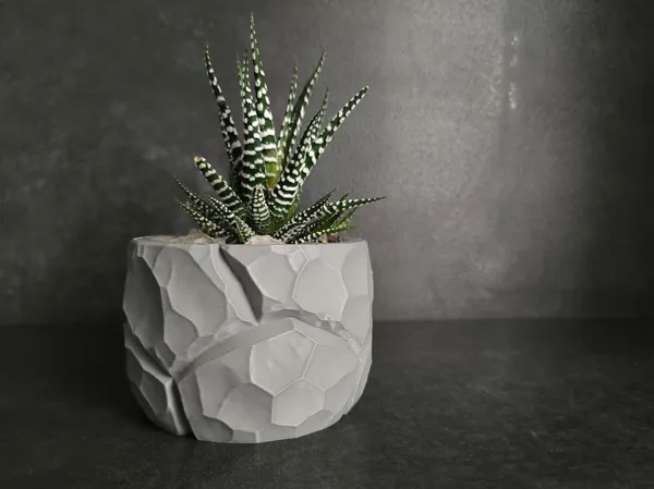 https://makerworld.bblmw.com/makerworld/model/US486cfa84319c23/design/2025-10-25_172c9ba1612b1.jpg