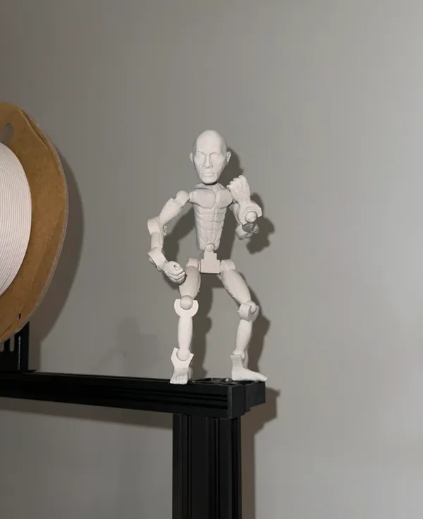 https://makerworld.bblmw.com/makerworld/model/US486ebeef7bc6d9/design/2024-06-16_dca5771a7be0b.jpg