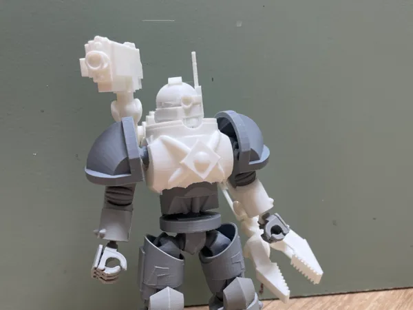 https://makerworld.bblmw.com/makerworld/model/US4871d334446eb/design/2025-06-07_e1032bd73f27b.jpeg