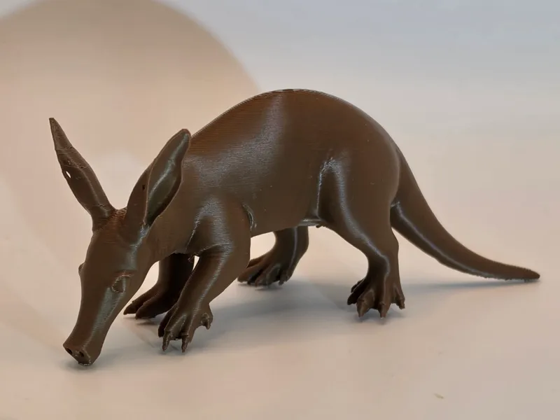Aardvark – Exotic Wildlife Animal Model