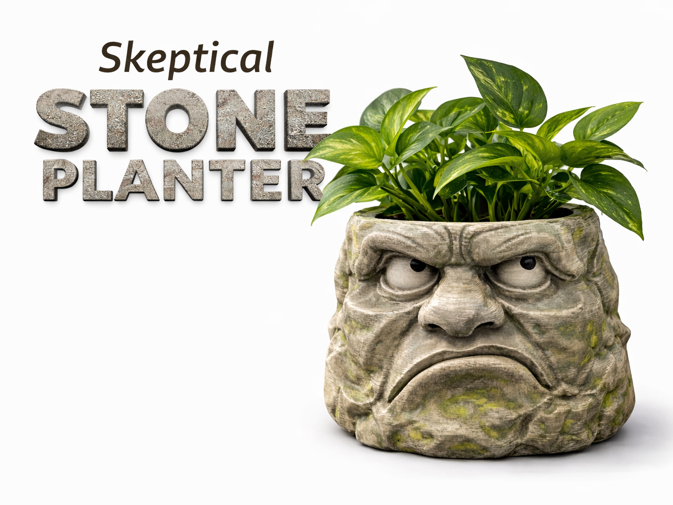 Skeptical Stone Planter