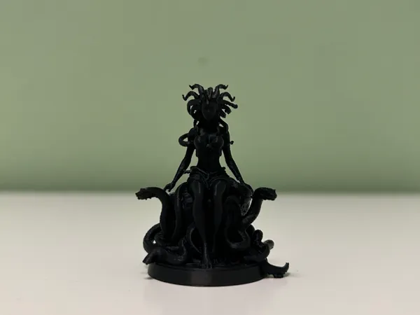 https://makerworld.bblmw.com/makerworld/model/US487e3b216a22f/design/5265bc03e4230188.jpeg