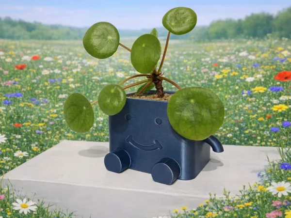 https://makerworld.bblmw.com/makerworld/model/US487ec61b96d61d/design/7dc0df2c296d6303.jpeg