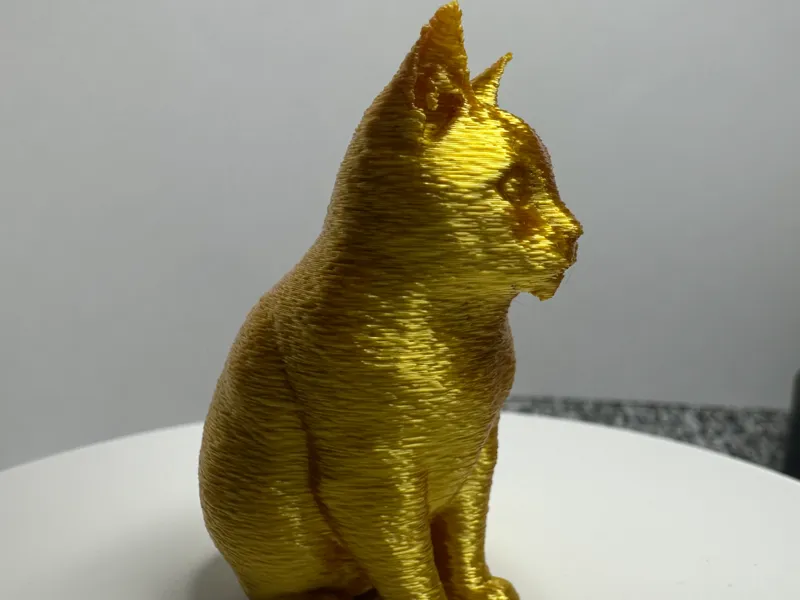 Fuzzy skin Cat 