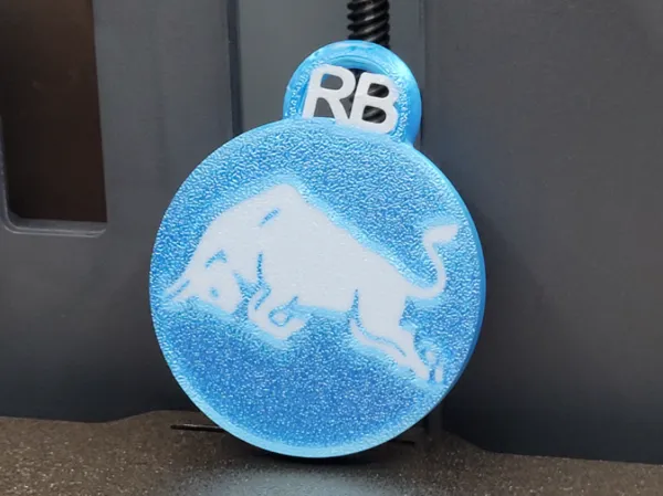 https://makerworld.bblmw.com/makerworld/model/US48907abd1ef60a/design/2025-03-11_da3d72454b01a.jpg