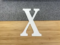 Lettre décorative X — photo 1