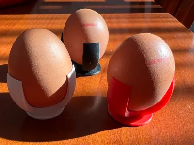 Egg cup