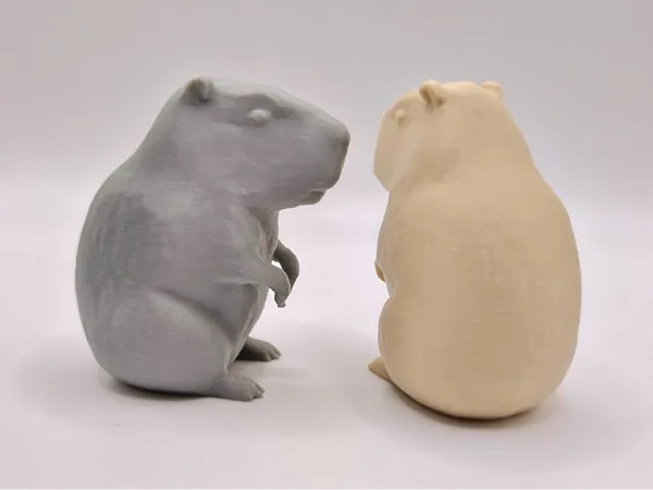 https://makerworld.bblmw.com/makerworld/model/US4895cb9dc190f1/design/2025-01-05_8c065035e26c98.jpg