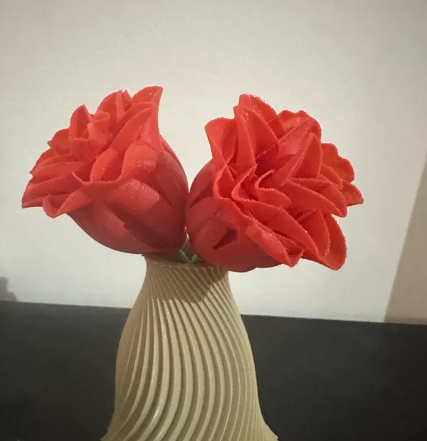 https://makerworld.bblmw.com/makerworld/model/US4899fde49f4429/design/2024-05-15_d8d773ad28346.jpeg