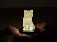 0.16mm layer, 2 walls, 10% infill