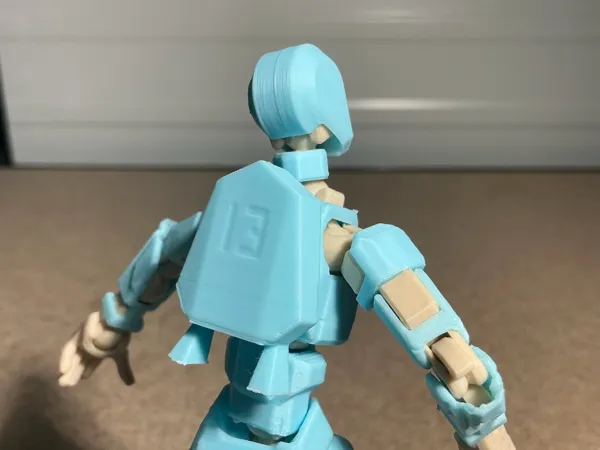 https://makerworld.bblmw.com/makerworld/model/US489aab6c366d87/design/2025-04-26_4b72bb9db49a4.jpeg