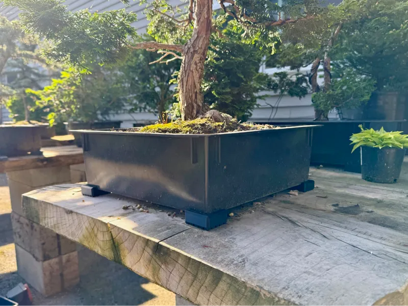 Anderson Flat Bonsai Pot Riser