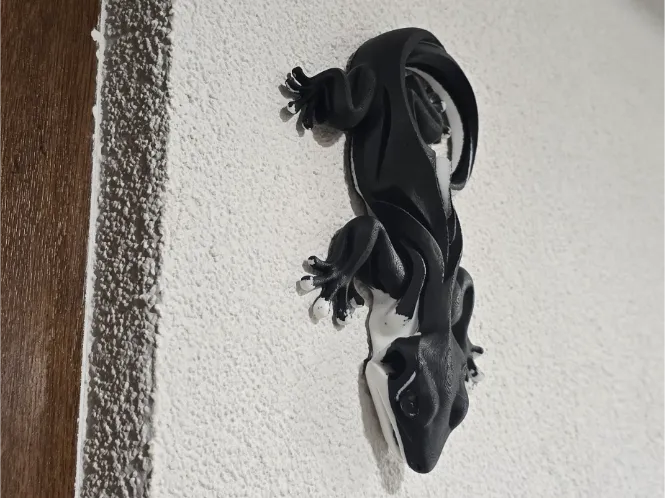 Yin Yang Decorative Lizard