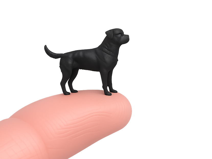 30mm Dog Miniatures - #21 Rottweiler