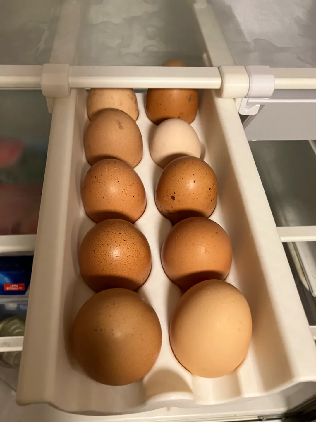 10 Fridge Egg Box, for rail system, w/o support view 3