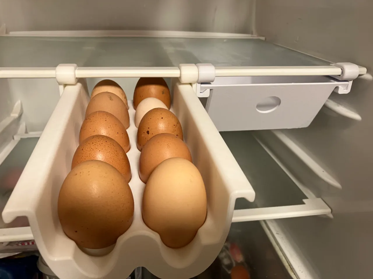 10 Fridge Egg Box, for rail system, w/o support view 4